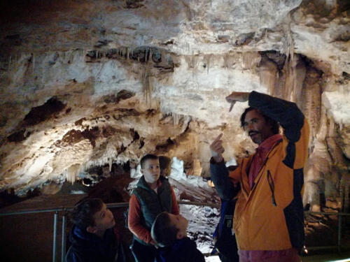 Lipska pećina 10